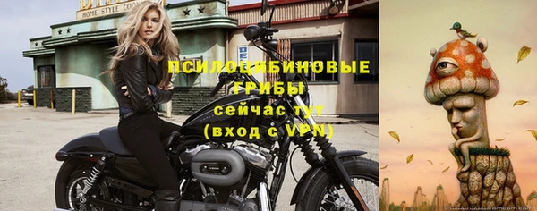 не бодяженный Верея