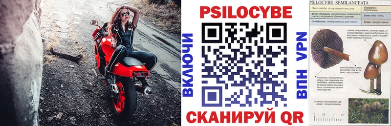площадка Telegram  Гаврилов-Ям  Псилоцибиновые грибы Psilocybe 